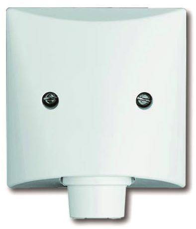 BJ UPWG Allwetter Zentralscheibe 2133-34 für Leitungsauslass alpinweiss Install.Baumaterial
