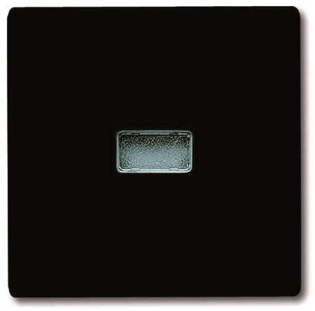 BJ UPWG Allwetter Wippe Kontroll 2107-35 anthrazit Install.Baumaterial Schaltermat/Geb.Steu Schalter