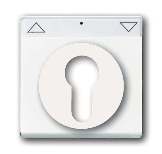 BJ carat Abdeckung für 1755SL/PZ-84-101 Schlüsselschalter mit Schrift. davos Install.Baumaterial