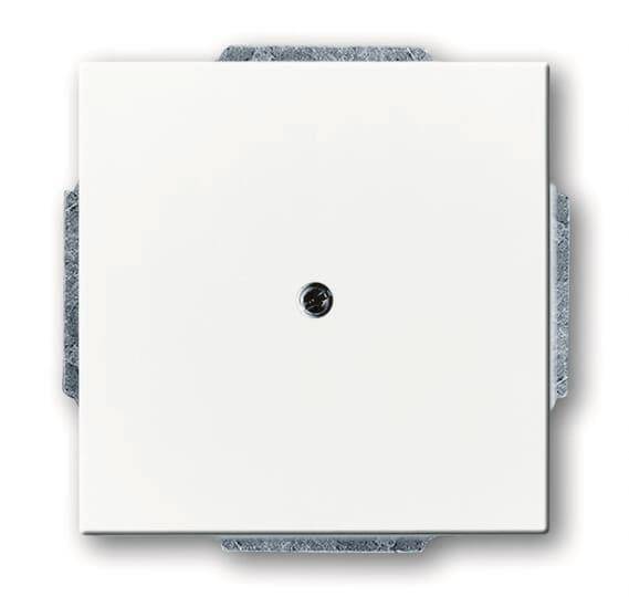 BJ Zentralscheibe f. 1749-884 Leitungsauslass Install.Baumaterial Schaltermat/Geb.Steu Schalter