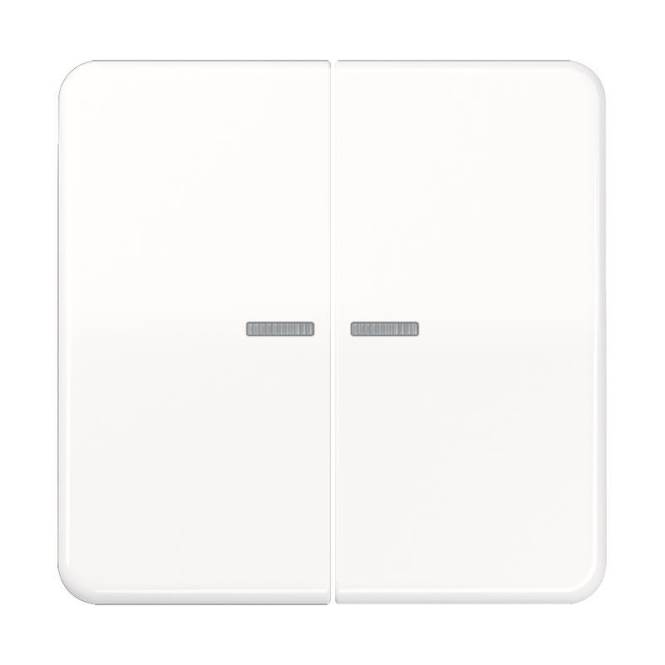 JG Wippe 2-fach CD595KO5WW Ba alpinweiss mit Lichtleiter Install.Baumaterial Schaltermat/Geb.Steu