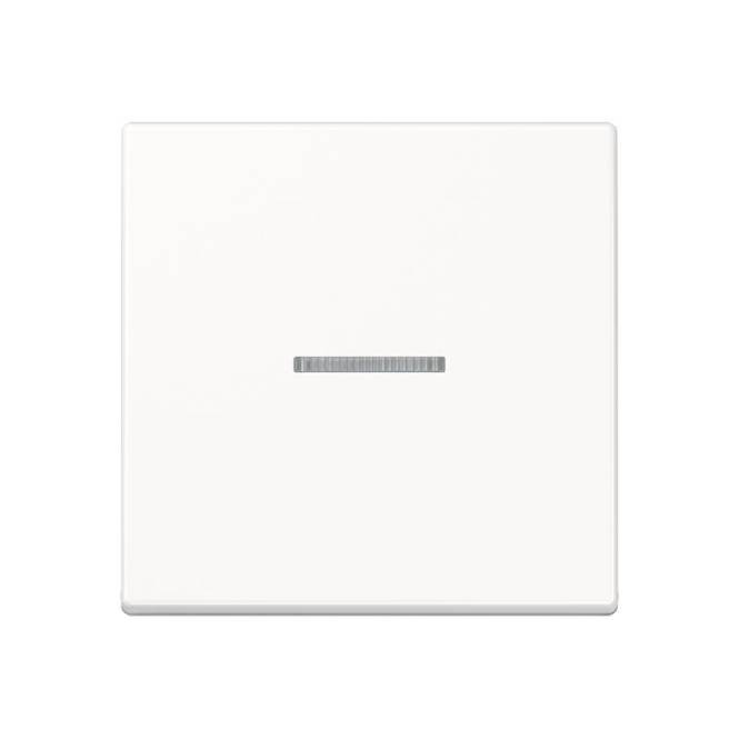 JG Wippe Kontroll 1-fach A590KO5WW A500 alpinweiss Install.Baumaterial Schaltermat/Geb.Steu Schalter