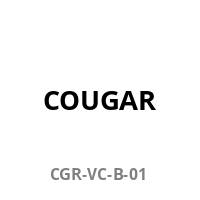 COUGAR Video Capture Card, Envision