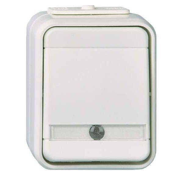 ELSO APWG Aqua-Top Kontroll 441649 mit Glimmlampe licht-/ basaltgrau Install.Baumaterial Schalter