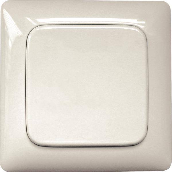 Eltako FT55R-ws Funktaster weiß o.Rahmen mit Wippe und Doppelwippe 30000225 Install.Baumaterial