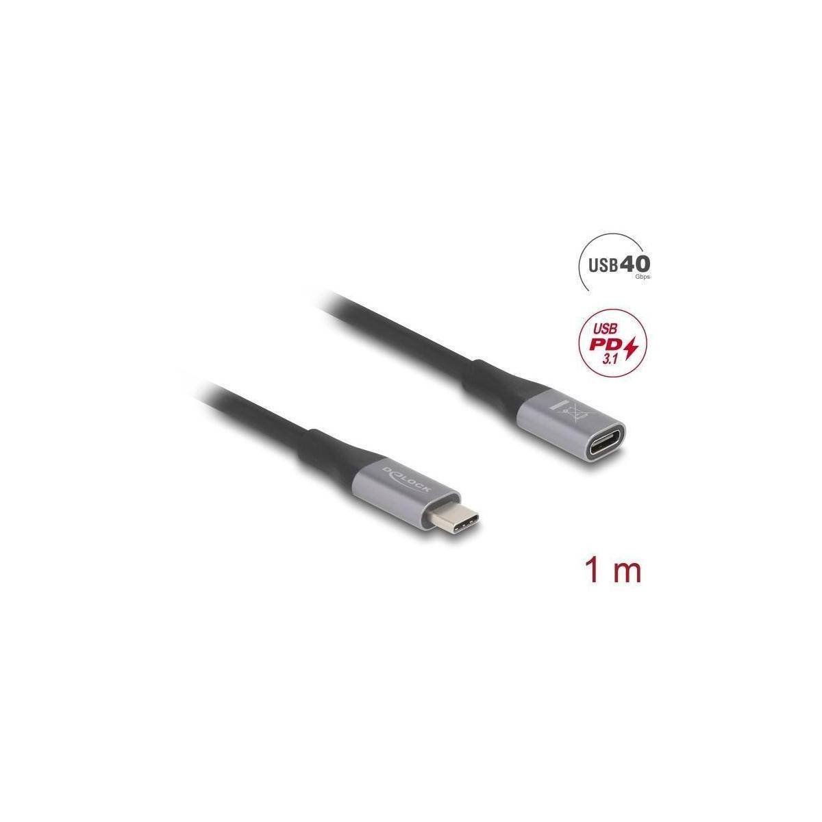 Delock USB-Verlängerungskabel - USB-C (M)zu USB-C (W) - USB 2.0 / USB 3.2 / USB4