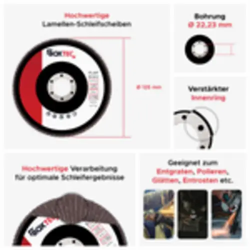 BOXTEC Fächerscheiben BRAUN 125mm Lamellenscheiben für Metall & Holz-P60 - 10er Pack BOXTEC Fächerscheiben BRAUN 125mm Lamellenscheiben für Metall & Holz-P60 - 10er Pack