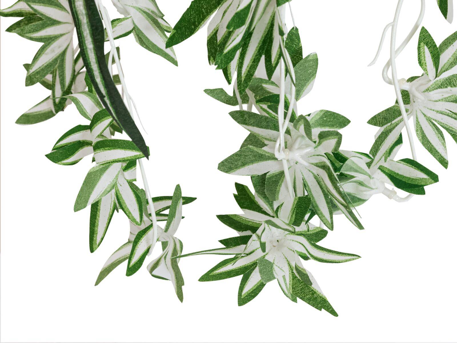 EUROPALMS Grünlilie, künstlich, 60cm