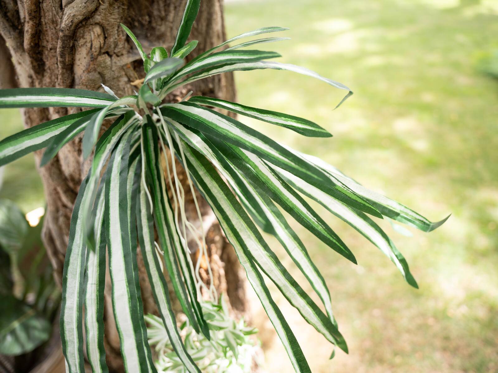 EUROPALMS Grünlilie, künstlich, 60cm