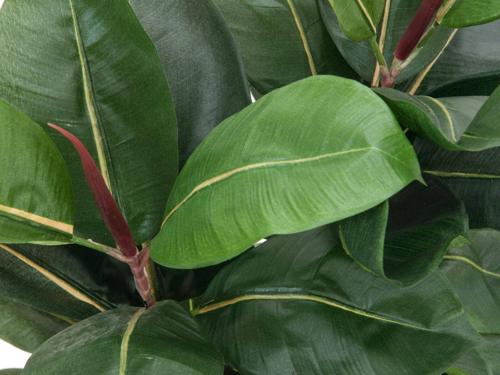 EUROPALMS Gummibaum, Kunstpflanze, 120cm