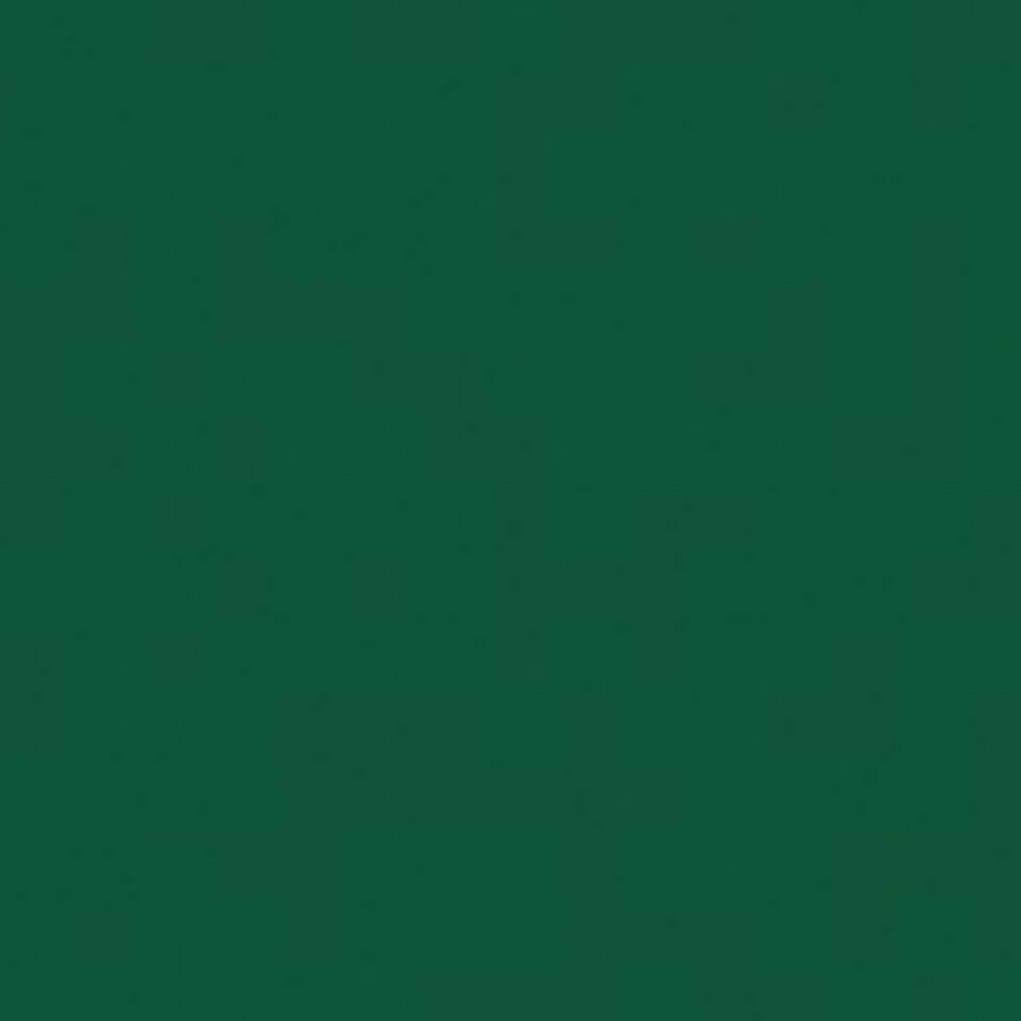 Showgear Handheld Confetti Cannon Pro 80 cm, dunkelgrün, feuerhemmend und biologisch abbaubar