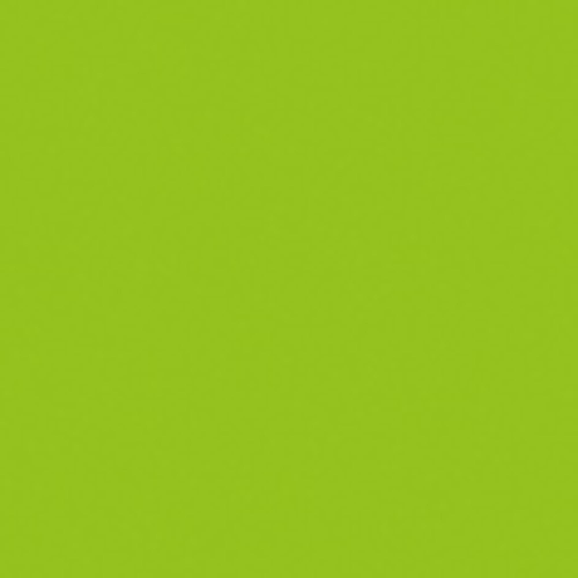 Showgear Handheld Confetti Cannon Pro 80 cm, hellgrün, feuerhemmend und biologisch abbaubar