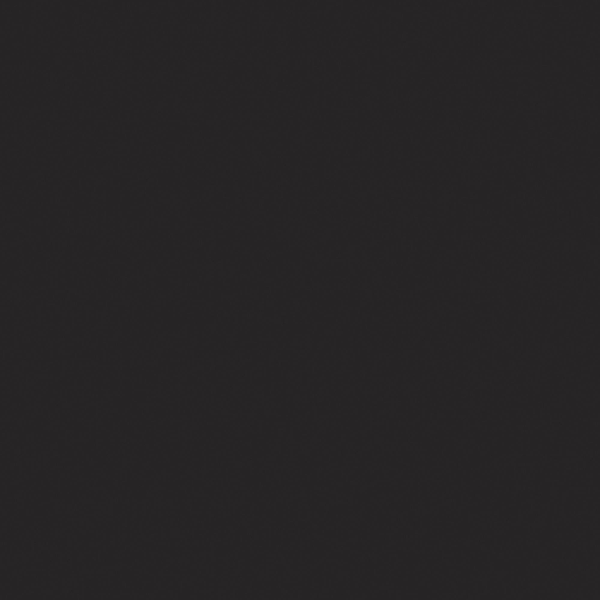 Showgear Bolt Dekomolton 160 g/m² Schwarz - 3 x 60 m (B x L)