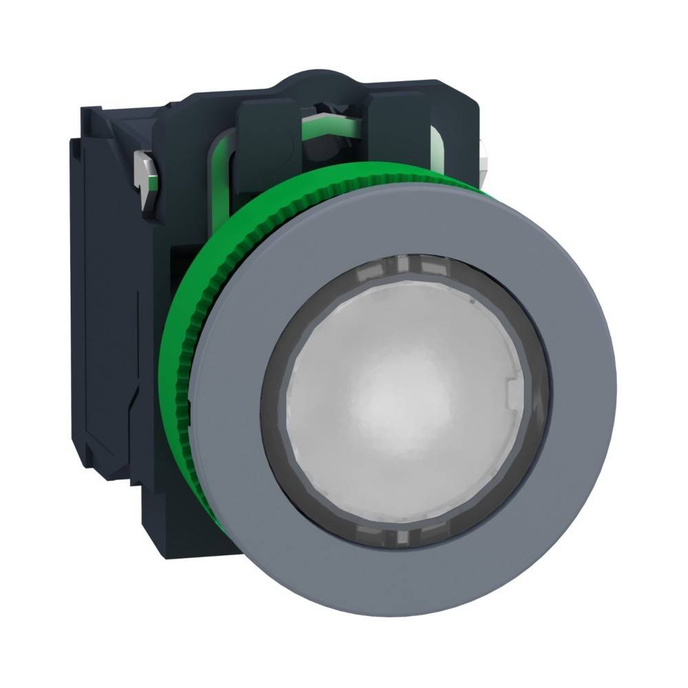 Schneider Electric Leuchtdrucktaster XB5FWCUST02