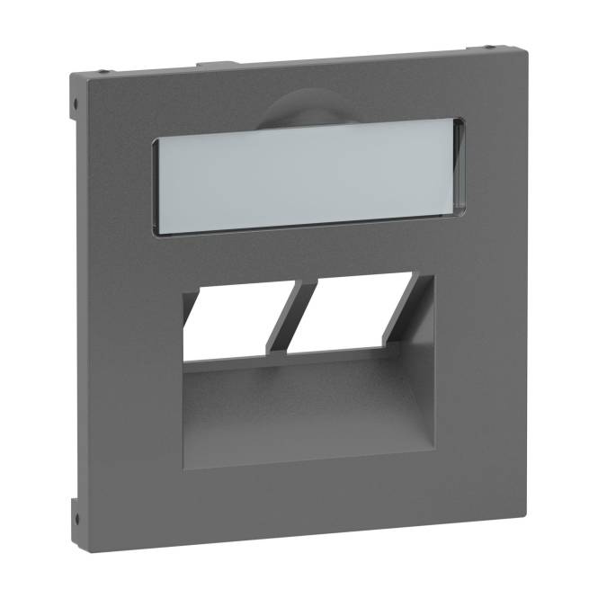 Legrand 765459 SEANO Abdeckung 2x RJ45 f Datendosen Fremdfabrikate Anthrazit Install.Baumaterial