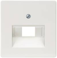 Siemens 5TG2545 Wandplatte/Schalterabdeckung Install.Baumaterial Schaltermat/Geb.Steu Schalter