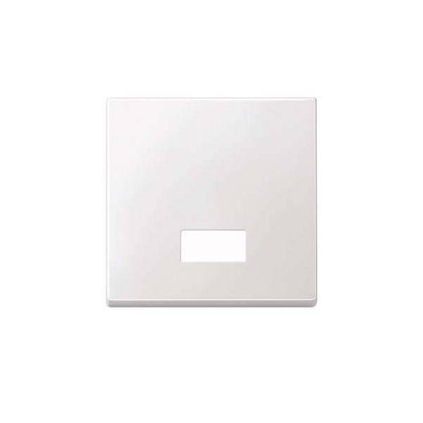 Merten Wippe m.Fenster rechteckig 433819 polarweiß System M Install.Baumaterial Schalter