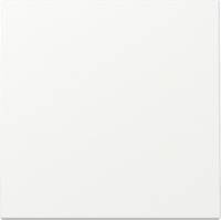 GIRA 329627 Wippe System 55 Reinweiß mWeiß