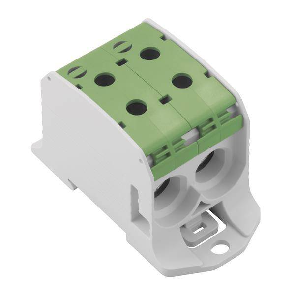 Ein grün-weißer Elektrostecker mit zwei Löchern für Ein- und Ausgang.