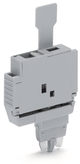 WAGO 2004-911 Sicherungsstecker,mit Lasche,für G-Sicherungseinsätze 5x20 mm Industriematerial