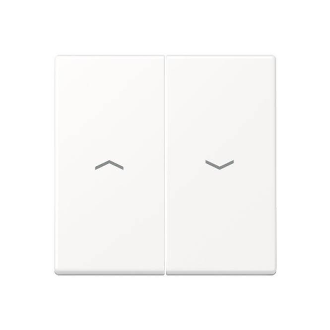 JG Wippe f. Jalousie- A595PWWM Schalter/-Taster schneeweiß matt Install.Baumaterial Schalter