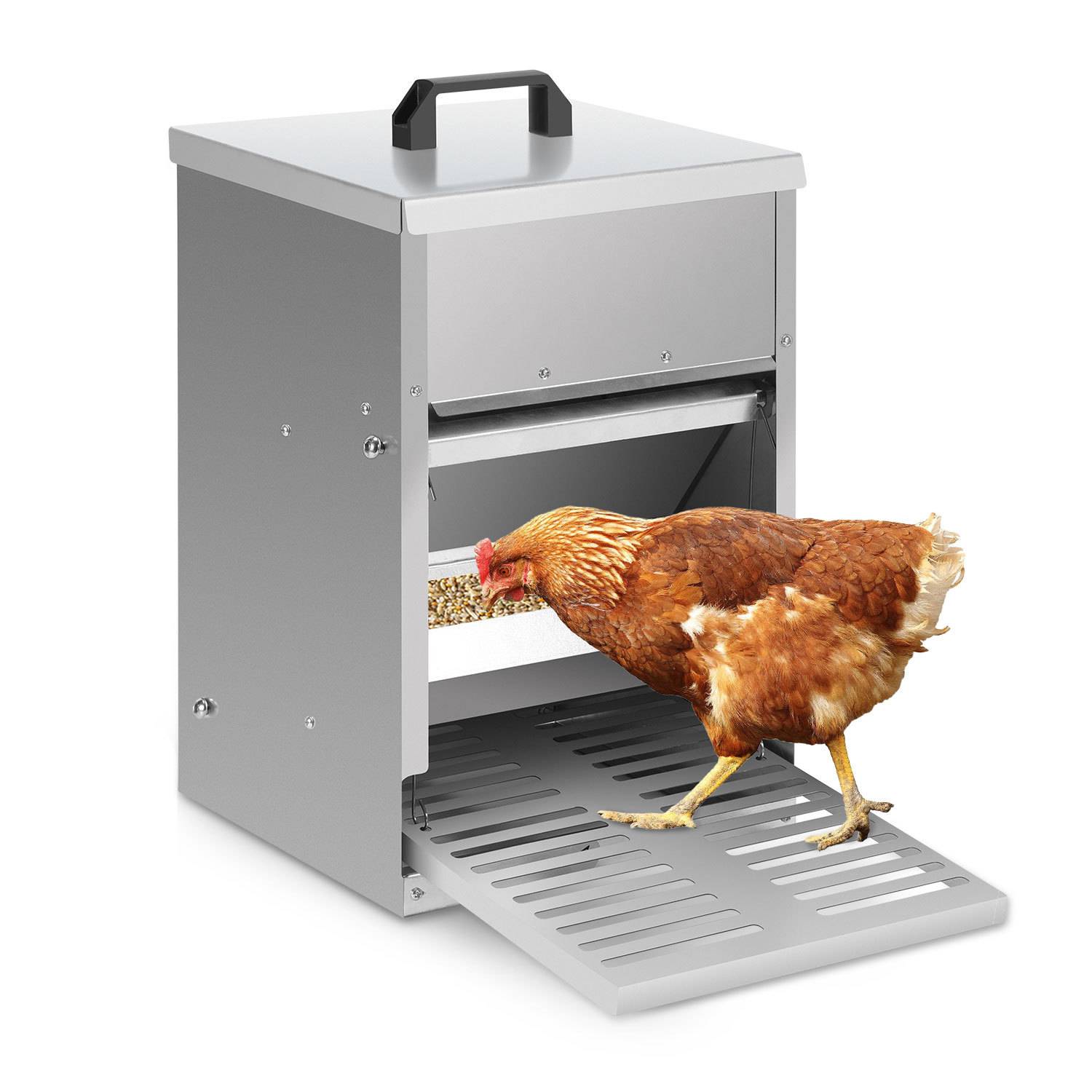 Ein braunes Huhn pickt Körner aus einem metallischen automatischen Futterautomat mit geneigtem Tablett und oberem Griff.