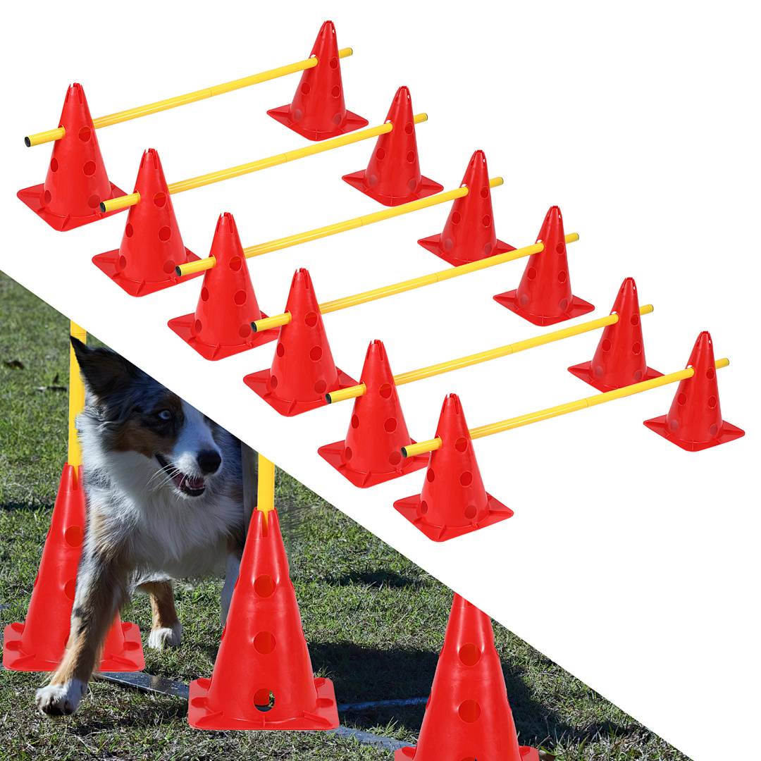 Hundeagility-Trainingsaufbau mit roten Kegeln und gelben Stangen, die Hindernisse bilden, gezeigt neben einem Hund, der den Parcours durchläuft.