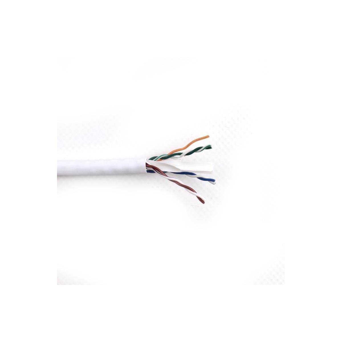 Nahaufnahme eines durchtrennnten Ethernet-Kabels mit freigelegten Innendrähten in verschiedenen Farben vor einem weißen Hintergrund.