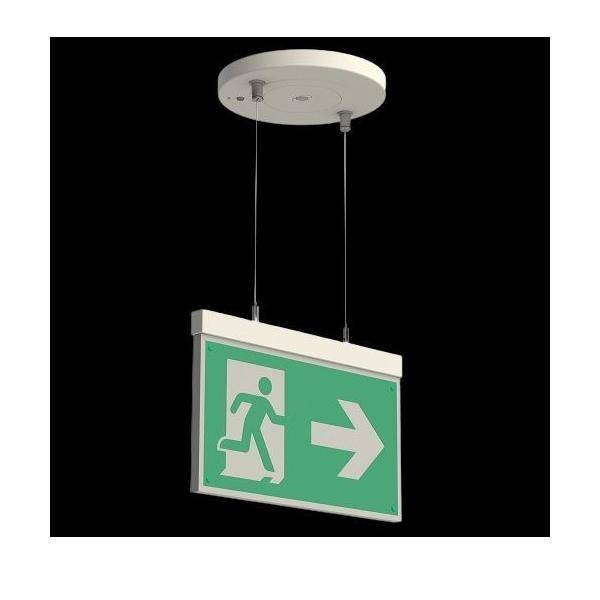 H1 Solutions Rettungszeichenleuchte Evolum Cord S CBS-T