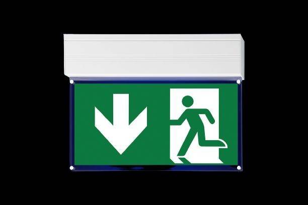 H1 Solutions Rettungszeichenleuchte Profiler L CBS D