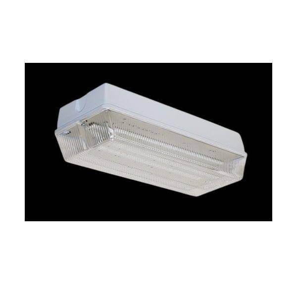 H1 Solutions Sicherheitsleuchte Sixtysix M DLI 8HPRO