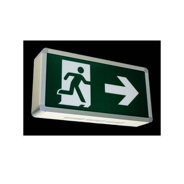 H1 Solutions Rettungszeichenleuchte Timeless L DLI 8H