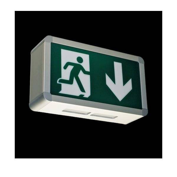 H1 Solutions Rettungszeichenleuchte Timeless M DLI 8H