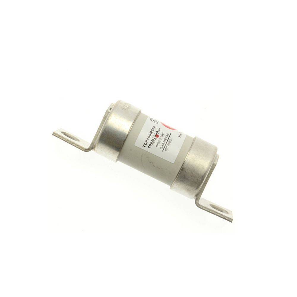 Eaton Sicherungseinsatz TCP100M125A