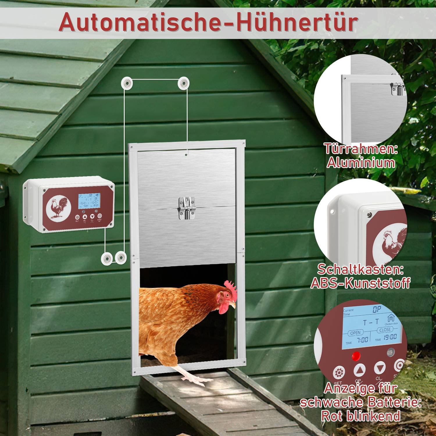 Hühnerklappe Elektrische Hühnertür mit Adapter und Lichtsensor, Automatische Funktion, 7.8W Leistung, 30x30cm, für Hühnerstall, Stalltür für Ge