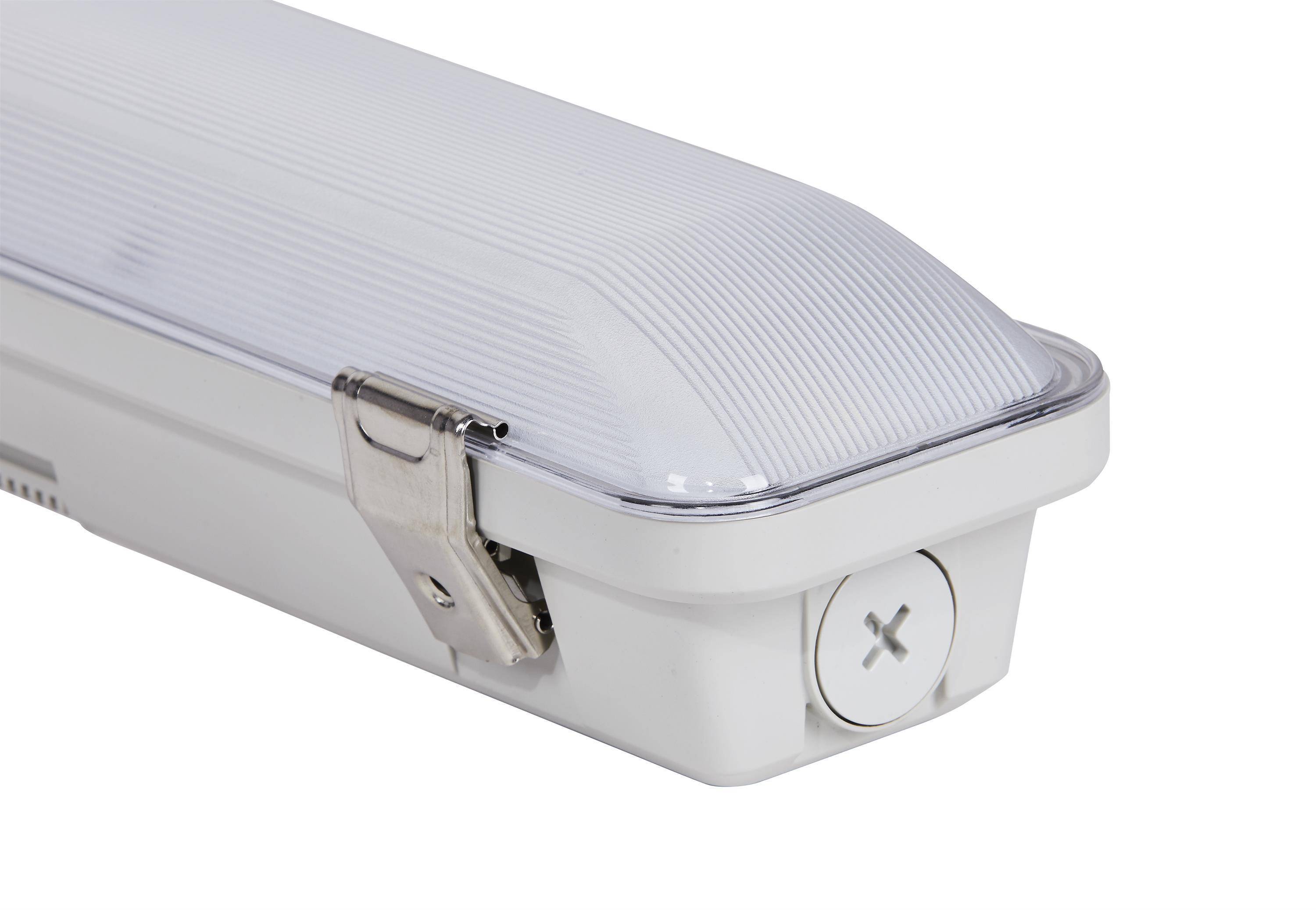 DOTLUX LED-Feuchtraumleuchte MISTRALexit IP66 1540mm max. 40W POWERselect 4000K gefrostet mit interner Batterie 3h Notbeleuchtung