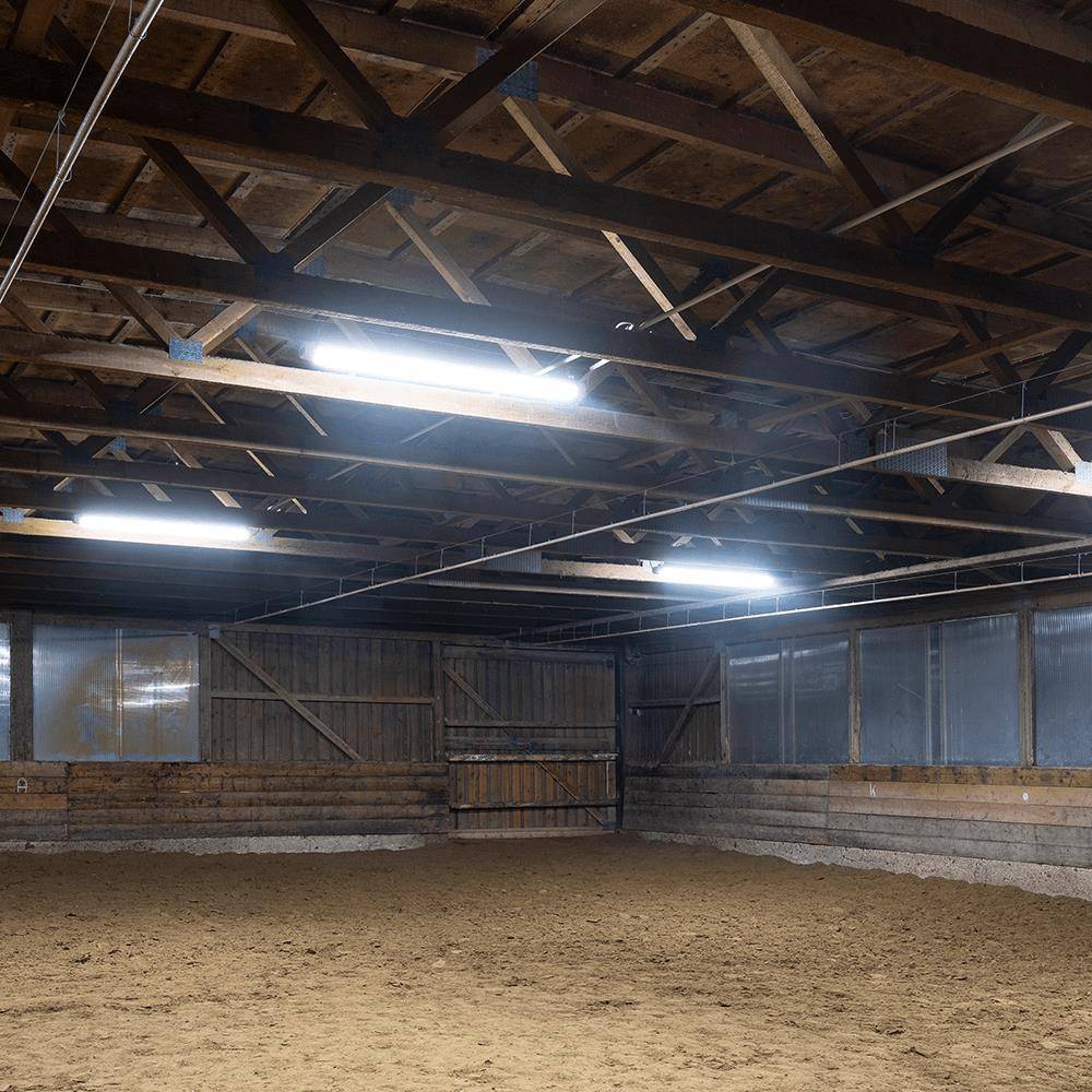 DOTLUX LED-Feuchtraumleuchte MISTRAL IP66 1540mm max.57W 4000K gefrostet