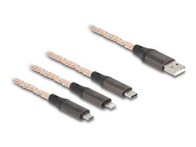 DELOCK USB RGB Ladekabel 3 in 1 Typ-A zu Lightning 1,20m Eingabe / Ausgabe Mäuse & Tastaturen