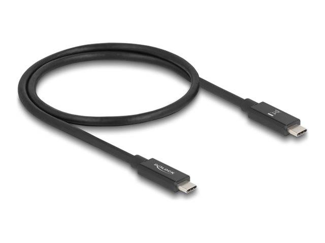 Delock - USB-Kabel - 24 pin USB-C (M) zu 24 pin USB-C (M)