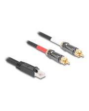 Delock Adapterkabel RJ45 Stecker zu 2 x Cinch schwarz 2 m Netzwerk 2 m Schwarz
