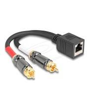 Delock Adapterkabel RJ45 Buchse zu 2 x Cinch Stecker schwarz 20 cm Netzwerk 0,2 m