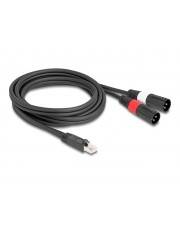 Delock Adapterkabel RJ45 Stecker zu 2 x XLR 3 Pin schwarz 2 m Audio/Multimedia Netzwerk 3-polig
