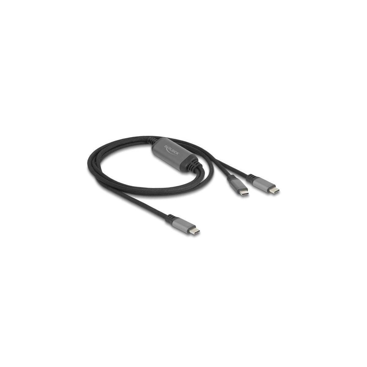 81271 - Delock USB-C Y-Kabel 1 x Stecker zu 2 x Stecker PD 3.0 100 W, 1,2m