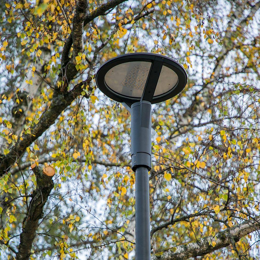 Eine Straßenlaterne ragt hoch zwischen Herbstbäumen mit goldenen Blättern und schafft einen Kontrast zwischen dem modernen Mast und der natürlichen Umgebung.