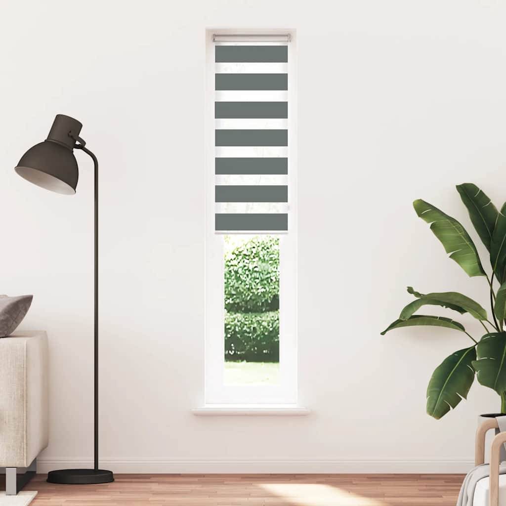 vidaXL Zebrarollo Dunkelgrau 40x230 cm Stoffbreite 35,9 cm Polyester