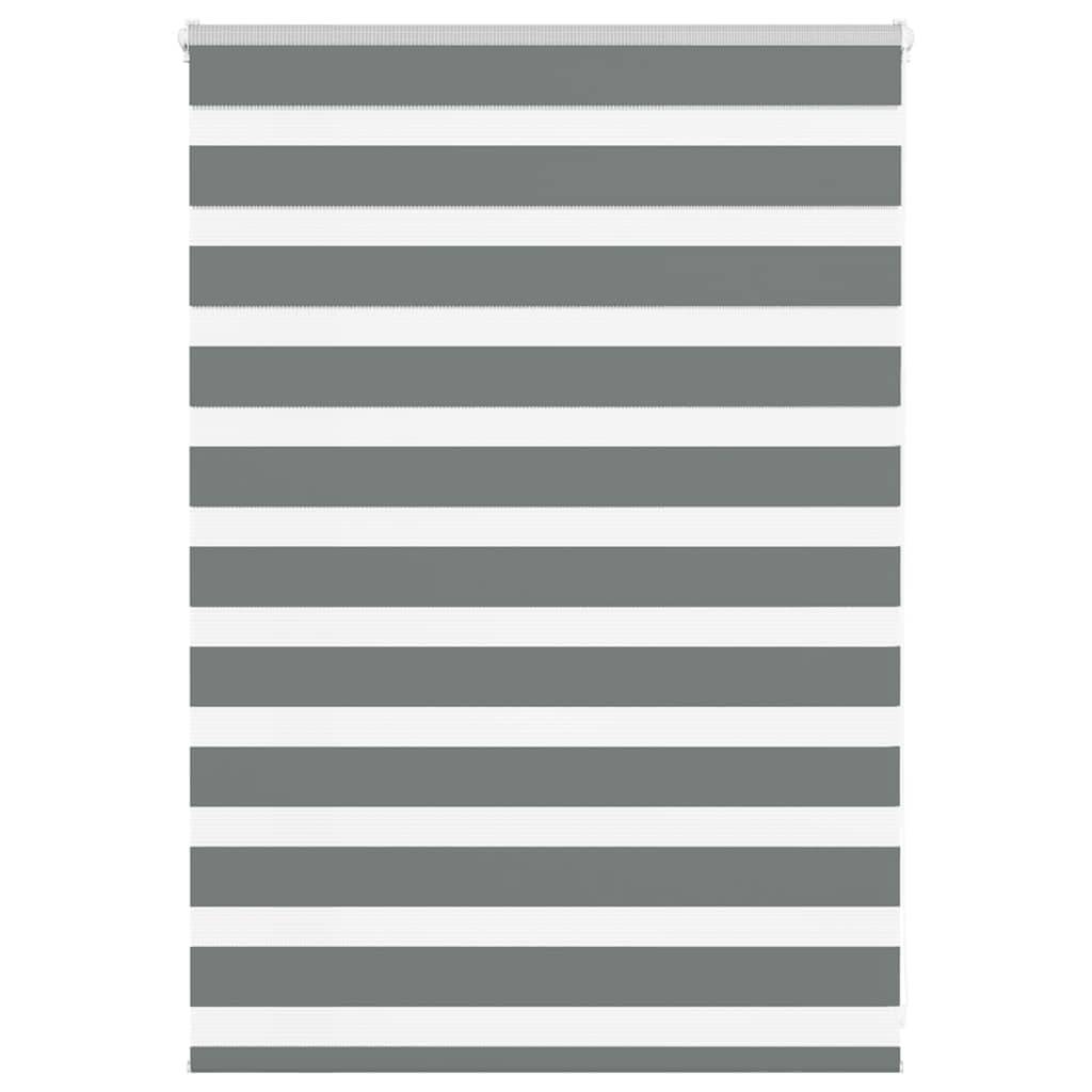 vidaXL Zebrarollo Dunkelgrau 105x100 cm Stoffbreite 100,9 cm Polyester