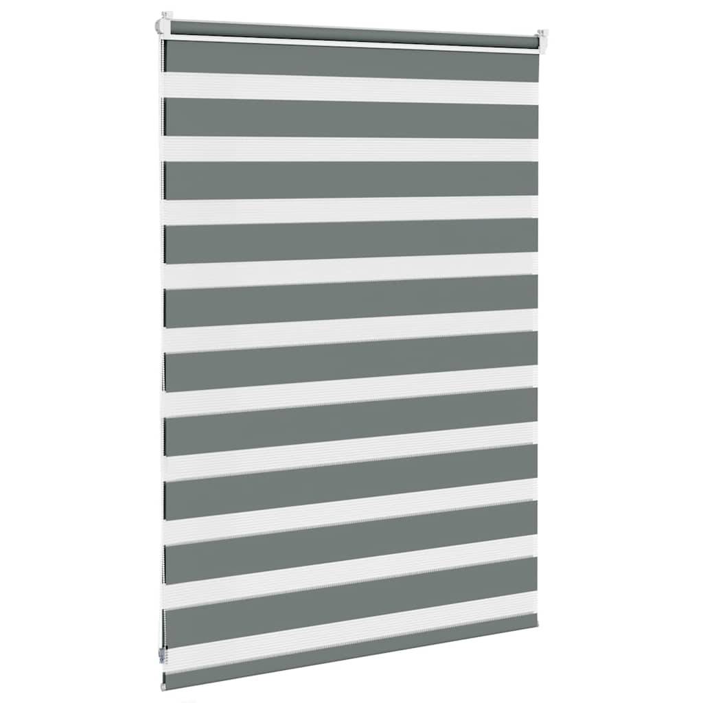 vidaXL Zebrarollo Dunkelgrau 100x100 cm Stoffbreite 95,9 cm Polyester