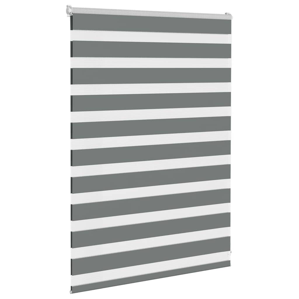 vidaXL Zebrarollo Dunkelgrau 95x100 cm Stoffbreite 90,9 cm Polyester