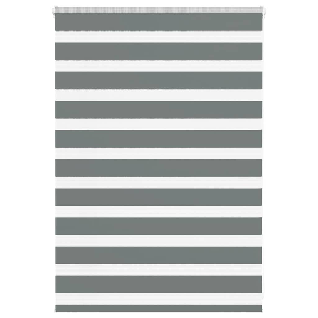 vidaXL Zebrarollo Dunkelgrau 100x100 cm Stoffbreite 95,9 cm Polyester
