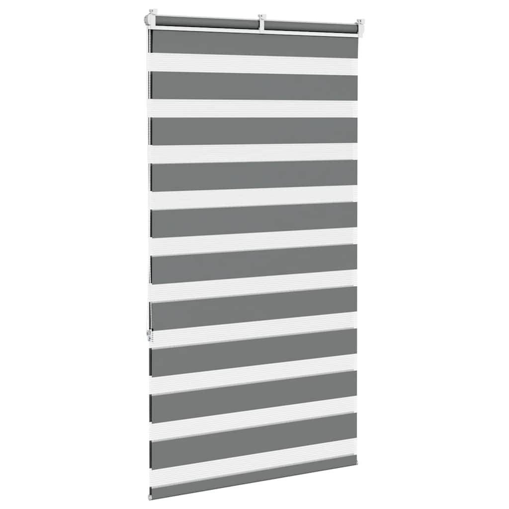 vidaXL Zebrarollo Dunkelgrau 75x150 cm Stoffbreite 70,9 cm Polyester